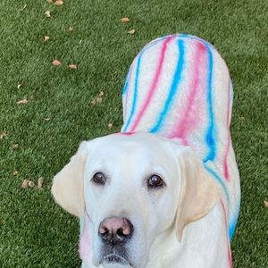 Meet your Posher, Td